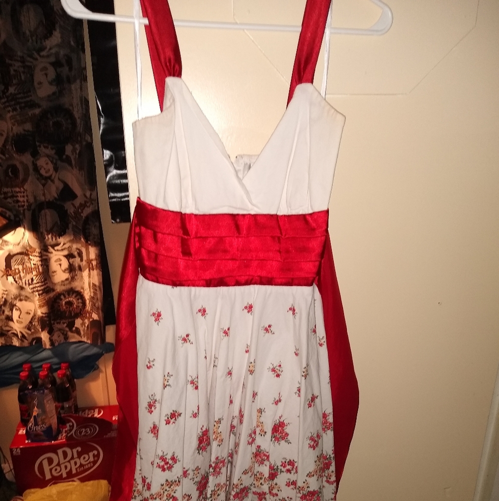 Beautiful Pin Up Dress - Picture 2 of 3
